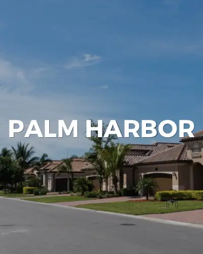 Estate sales in Palm Harbor Florida