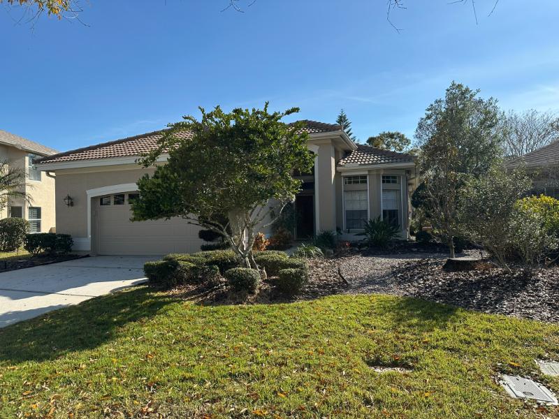 s-2425440-skorukfh0tz6854s